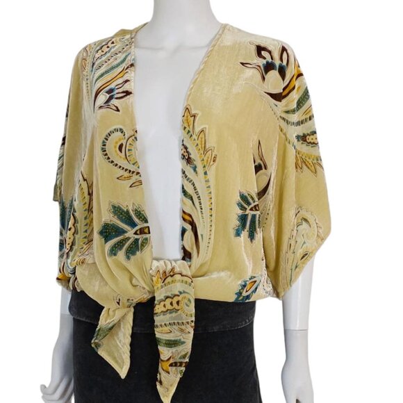 Winter Kale Burnout Velvet Top Blouse - Picture 3 of 7